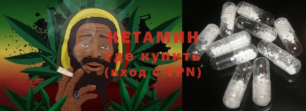 шишки Богородицк