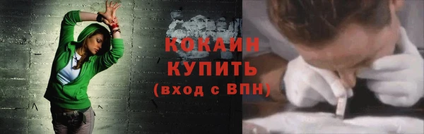 шишки Богородицк