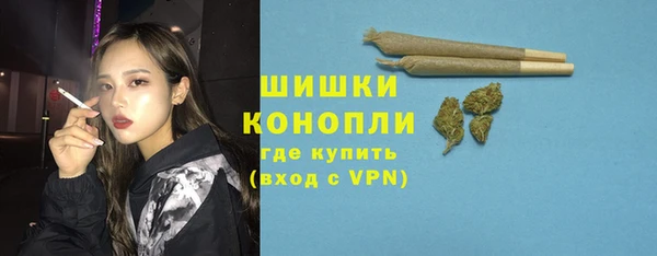 шишки Богородицк