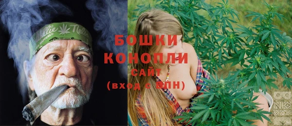МДПВ Богородск