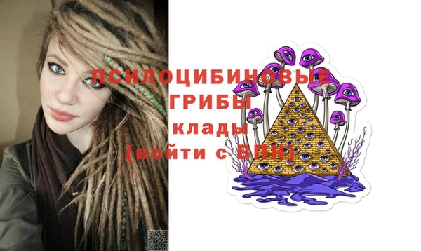 шишки Богородицк