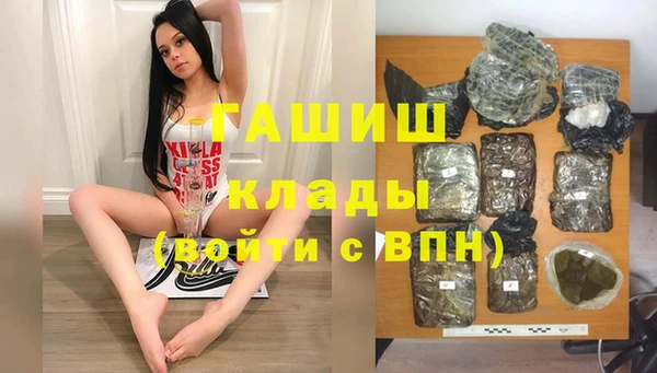 шишки Богородицк