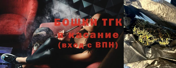 МДПВ Богородск