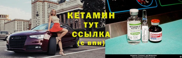 шишки Богородицк