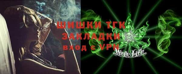 шишки Богородицк
