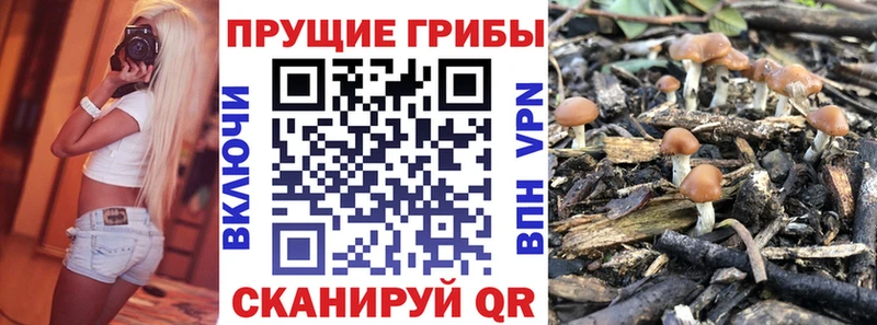 Псилоцибиновые грибы мухоморы  Шадринск 